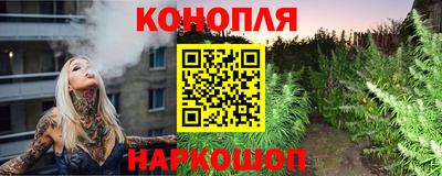 молекула духа Гагарин
