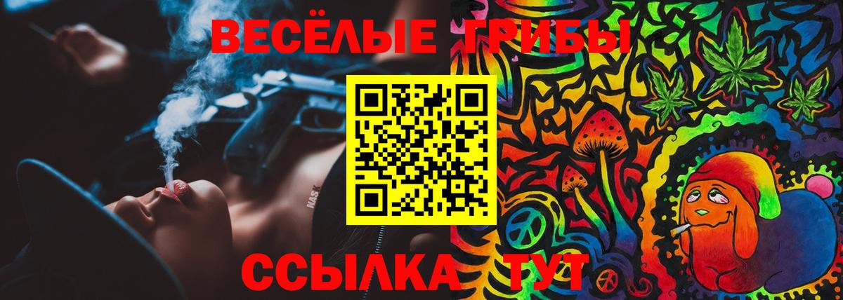 Псилоцибиновые грибы Cubensis Михайловск